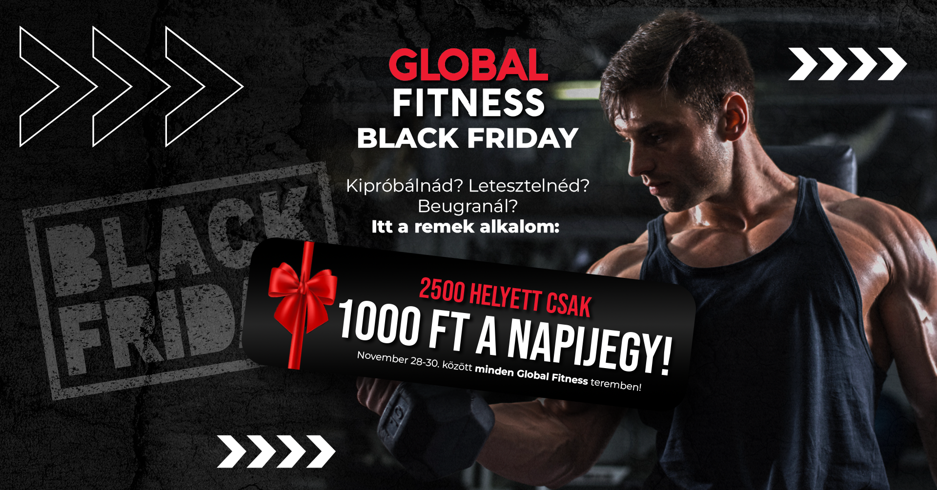 586847665_858442276696849_7694033113752011344_n